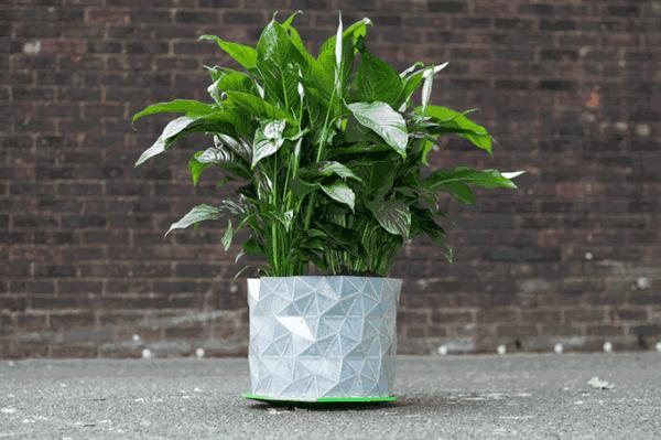 如何用塑料瓶做自动浇花神器,塑料瓶自动浇花神器