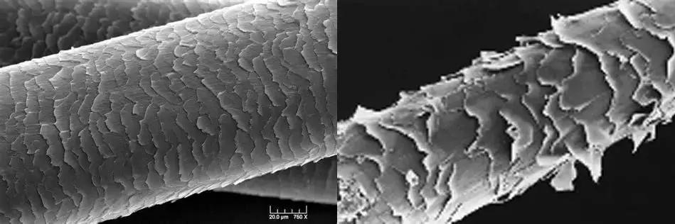 头发干枯毛躁是用发膜还是护发素,头发干枯毛躁用什么牌子护发素好