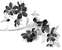 国庆收假销售,国庆收假第一天发货