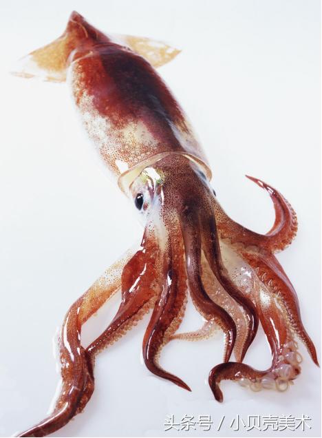 少儿创意美术《章鱼》，海底世界好神奇！