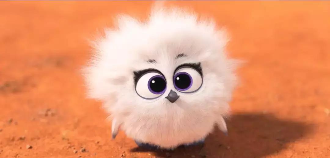 奥斯卡最佳动画短片2022拳击芭蕾,适合儿童看的奥斯卡最佳动画短片