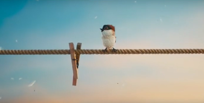 奥斯卡最佳动画短片2022拳击芭蕾,适合儿童看的奥斯卡最佳动画短片