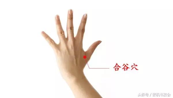 道家论述奇经八脉的书,奇经八脉与道家修炼