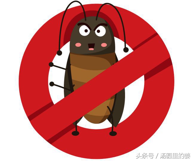 不用药怎么杀死蟑螂,如果没有任何药怎么驱除蟑螂