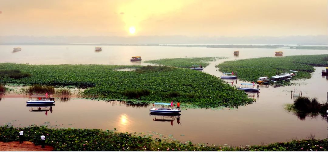 大局已定未来五年咋样,大局已定未来可期