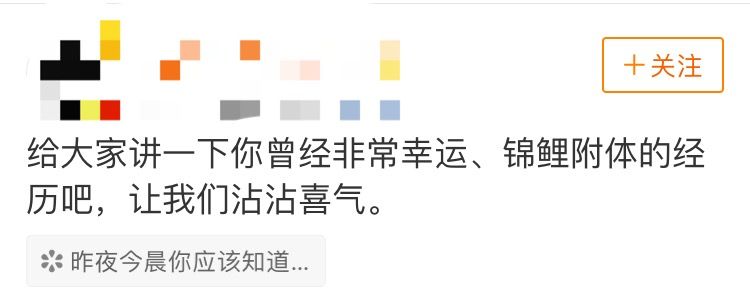 中国锦鲤2020,中国锦鲤后续走势