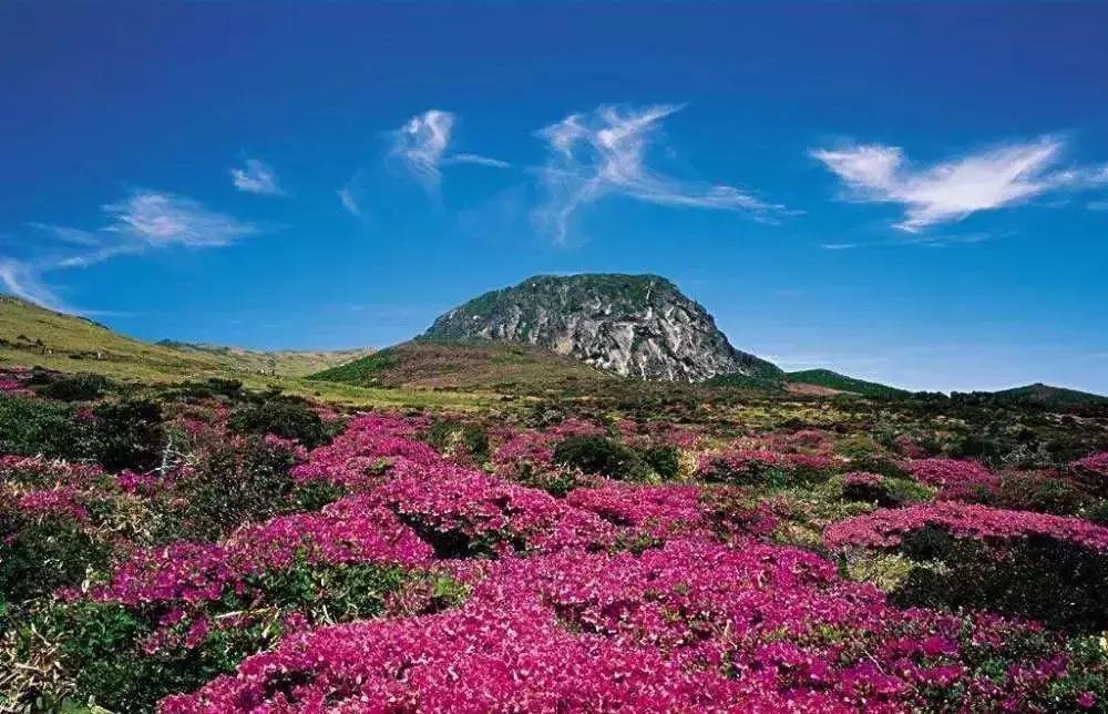 越南芽庄坑人景点,越南芽庄旅游坑不坑