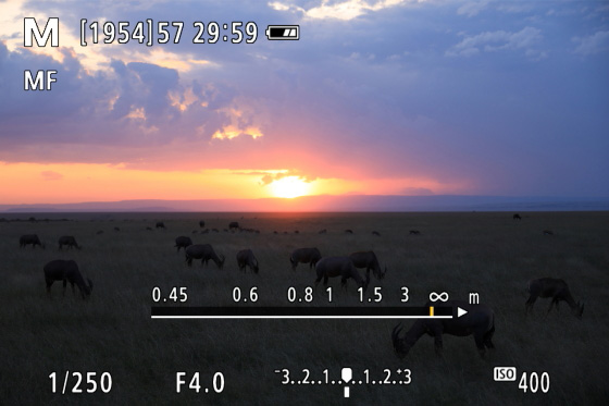 佳能专微电池续航好吗,佳能高感升级