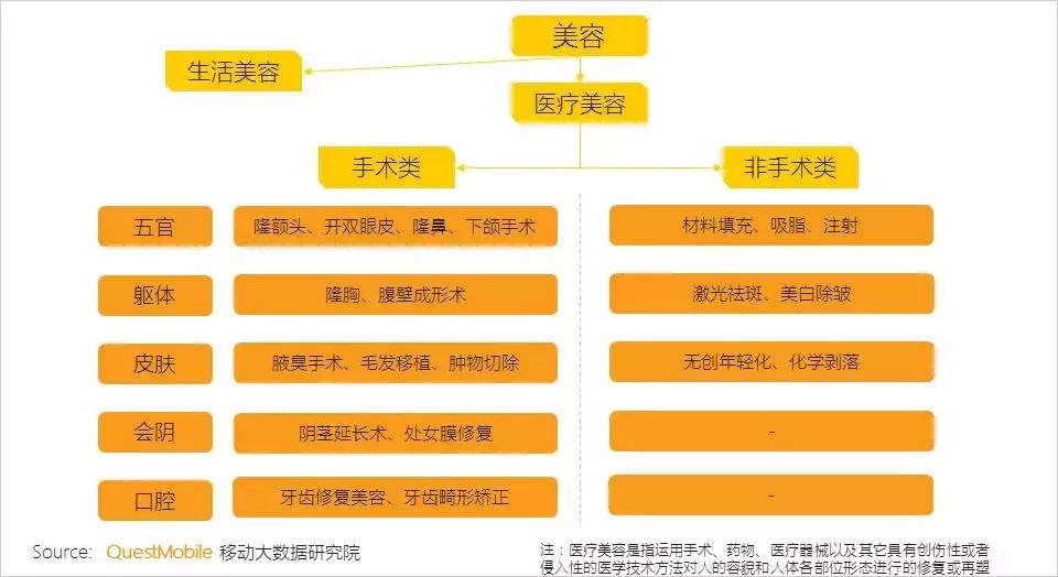2022美妆行业趋势洞察报告怎么写,美容美妆行业概况