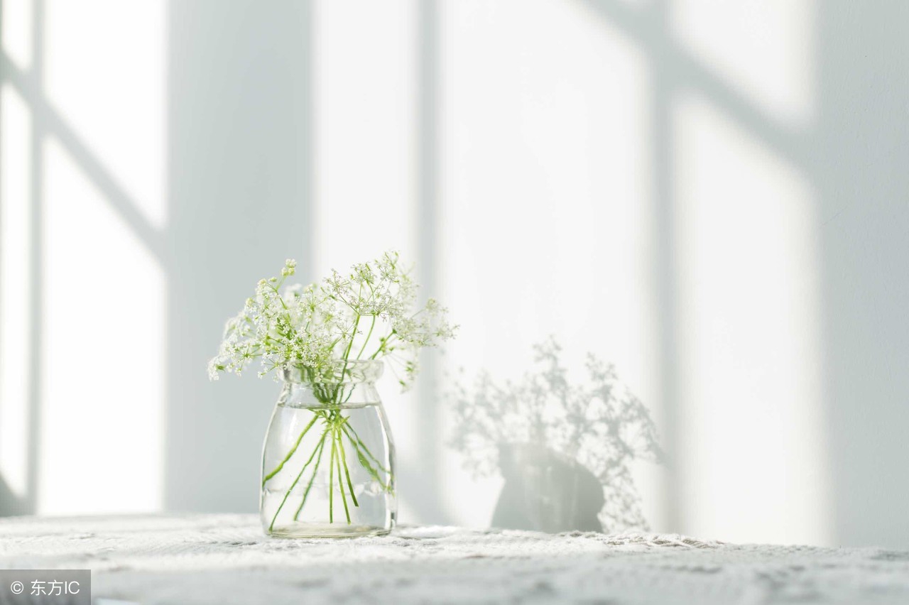 20句正能量语录,英文每日一句正能量的话