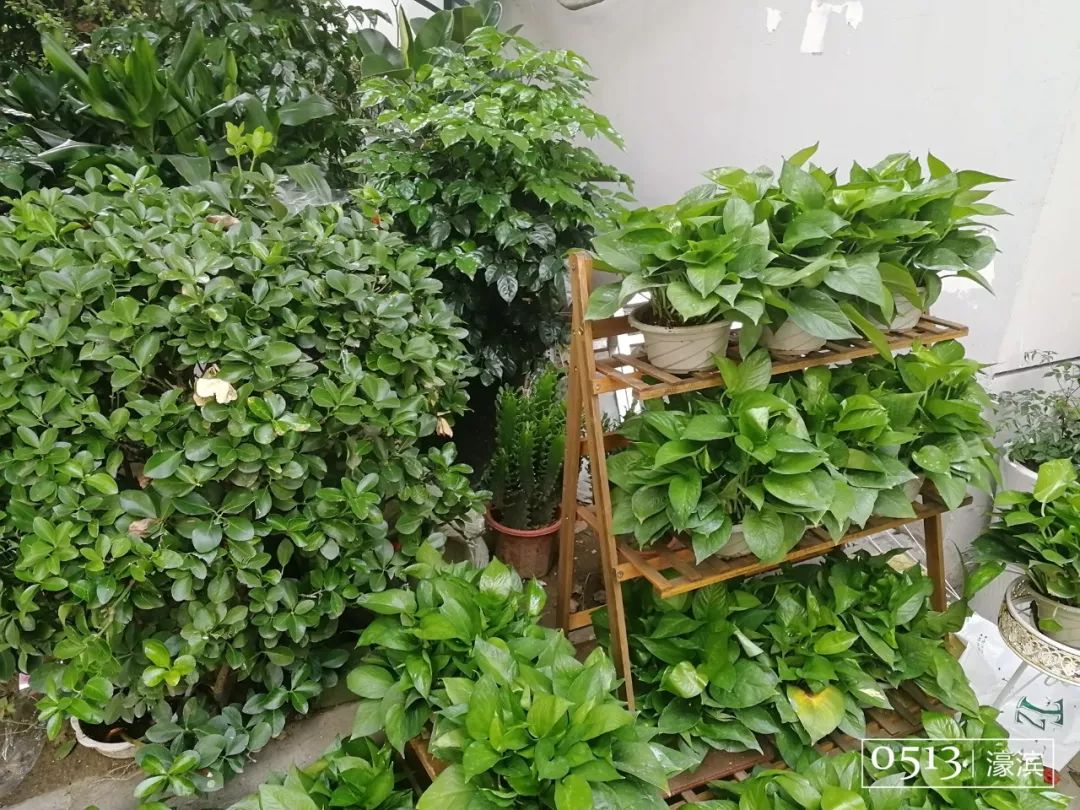 住在紫东的你快乐吗？