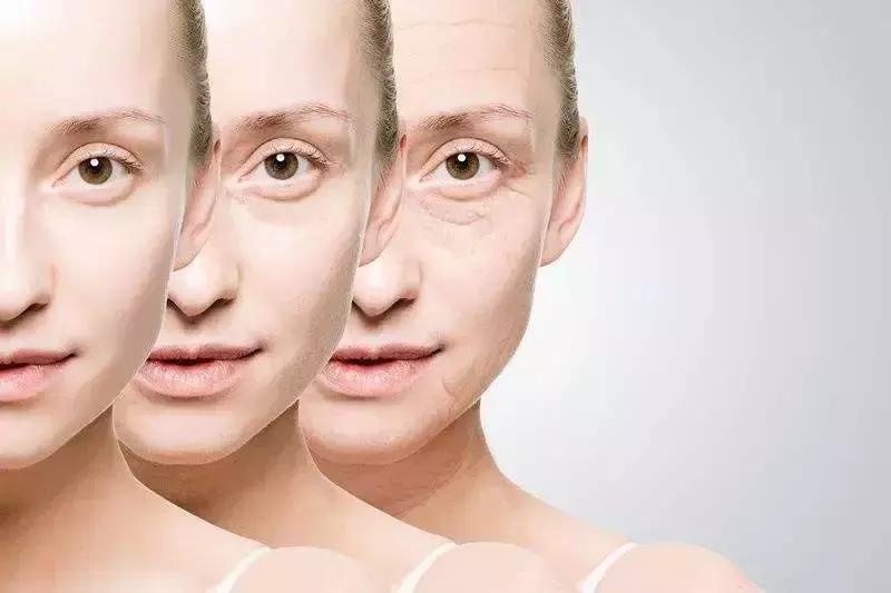 丸美弹力蛋白凝时紧致系列专柜价,丸美胶原弹力蛋白