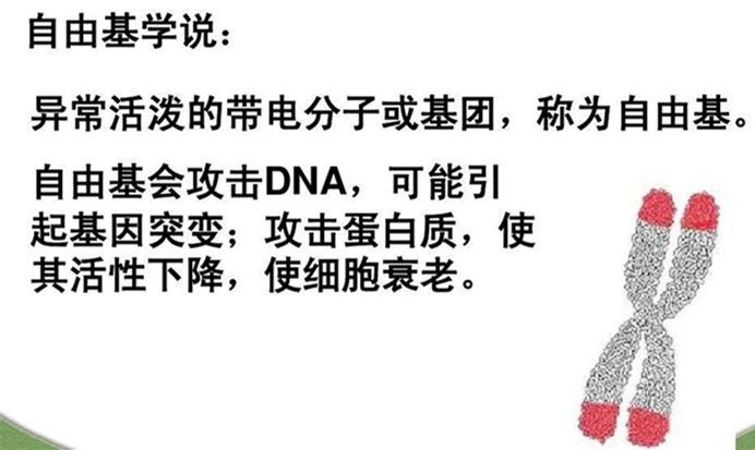 一直用美白产品的为什么不白,为什么市面上的美白产品都没效果
