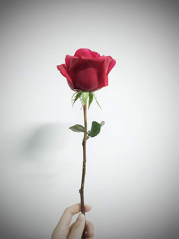 关于你不知道的事,关于你不知道的事视频