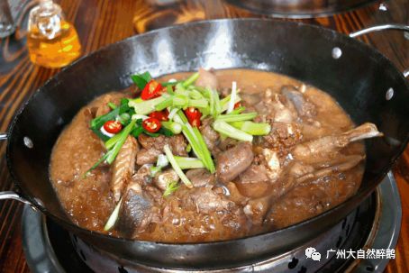 色香味俱全大自然醉鹅,大自然醉鹅真的好吃吗