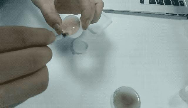 淘宝上钉钉打卡改时间靠谱吗,上班钉钉忘记打卡怎么补卡