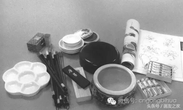 国画工笔菊花的画法视频,线描菊花画谱