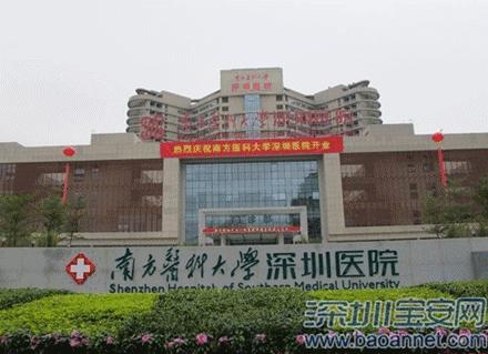 全国医学生的“娘家人”,深圳喊你先来“串串门”