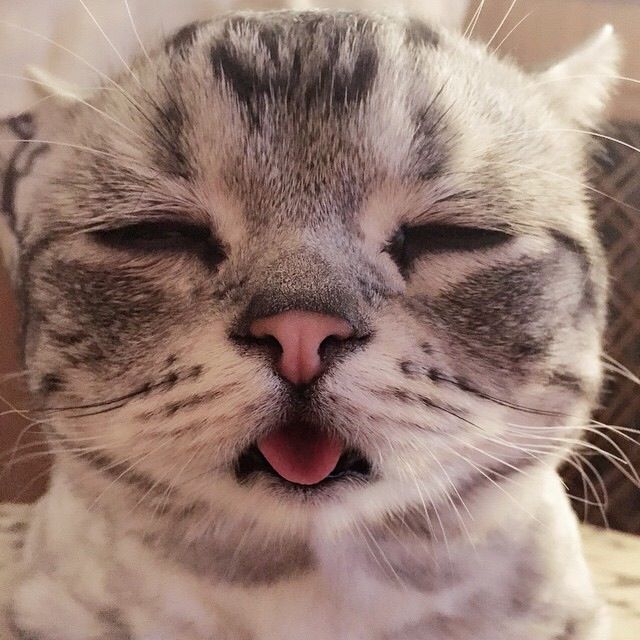 中国元素文字中国风壁纸,中国风壁纸高清无水印无文字