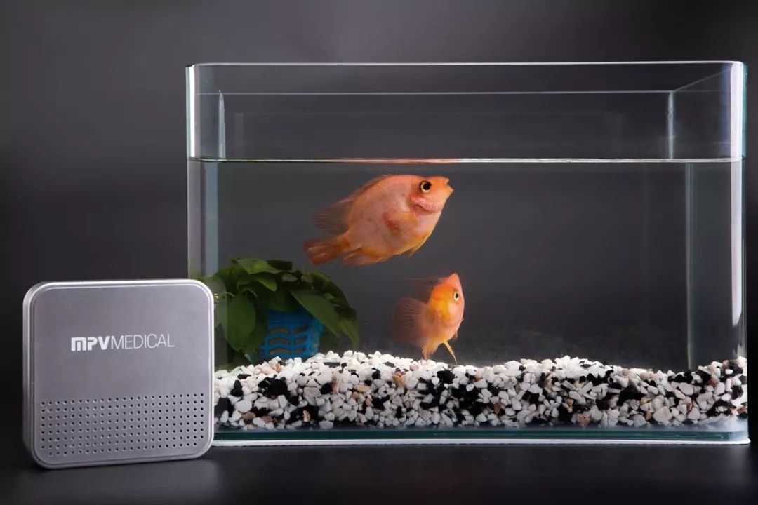 甲醛释放期限15年怎么装修,甲醛释放周期达3到15年怎么办