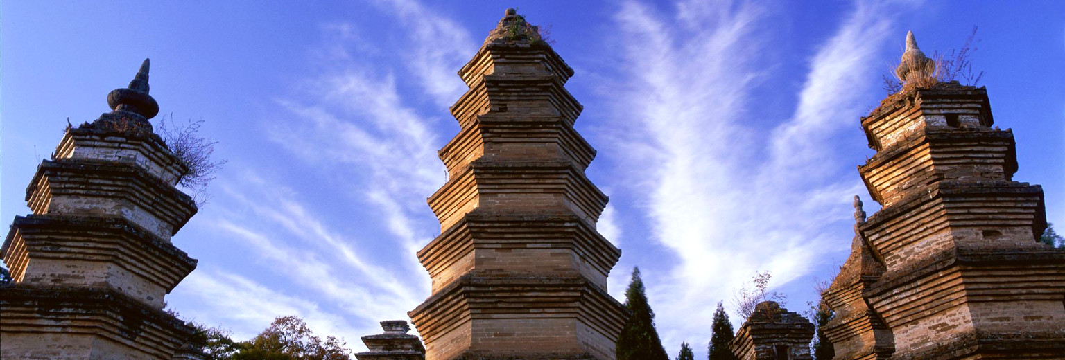 商标碰瓷,遇到商标碰瓷怎么办