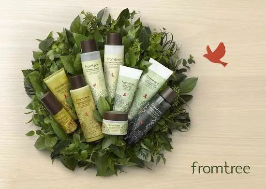 在中国运作十年不接地气的韩妆SKINFOOD面临破产？没了它，你还有什么选择