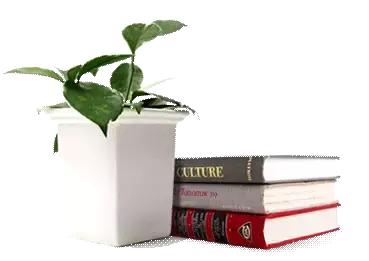 今日头条自媒体涨粉技能,头条号涨粉攻略如何快速涨粉