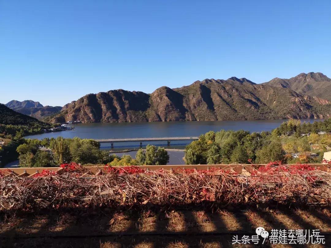 京郊十大亲子酒店,平谷亲子酒店值得去吗