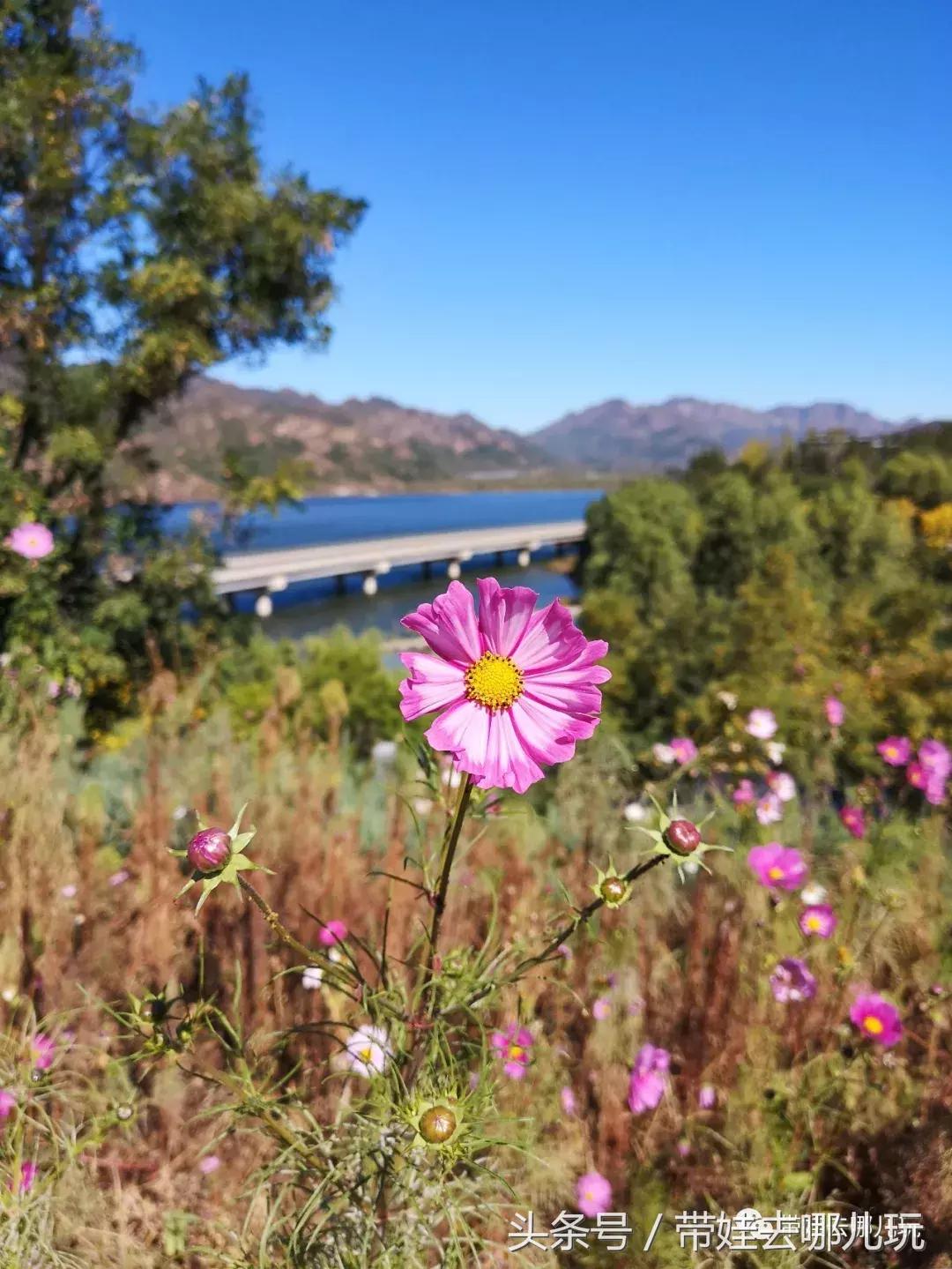 京郊十大亲子酒店,平谷亲子酒店值得去吗