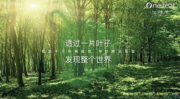 占据c位体验,占据c位的重要性