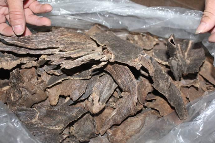 秦伯未辨证论治纲要,秦伯未治痰八种方法