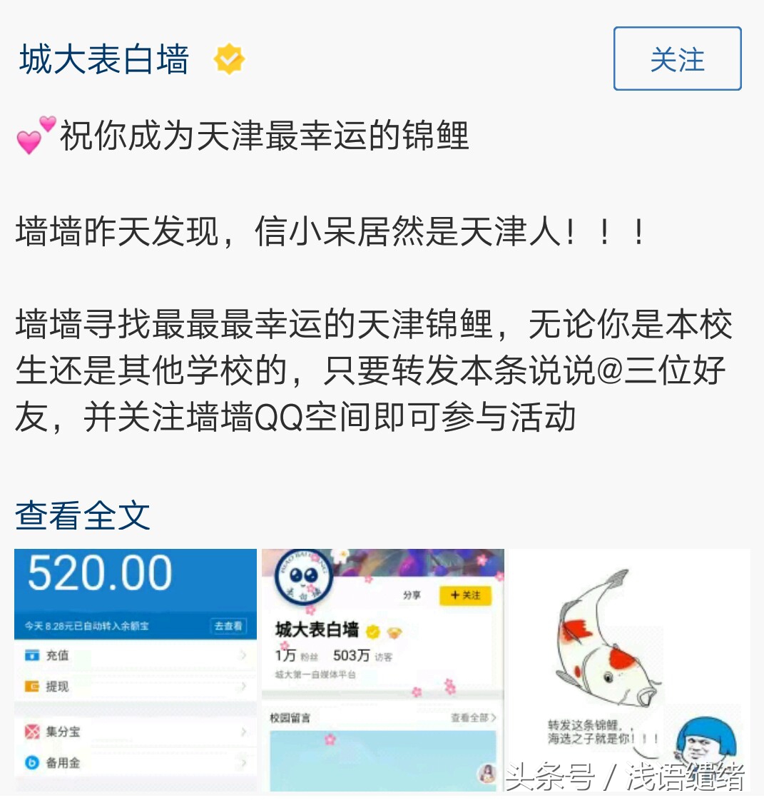 此次支付宝锦鲤营销的赢家有谁,支付宝锦鲤活动怎么引起轰动