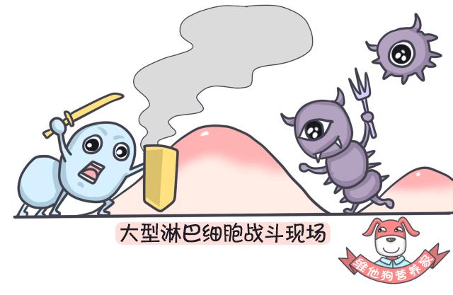 足贴、清肠丸、大麦若叶真的有效吗？戳穿朋友圈9大排毒网红