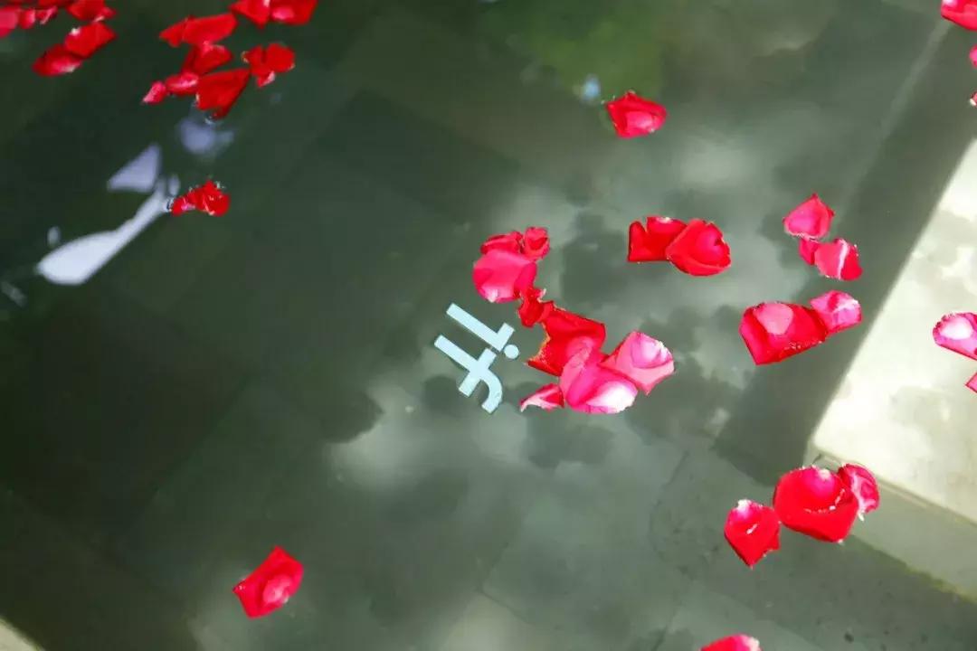 ifer来信：被if姐清空购物车，手抖一上午……