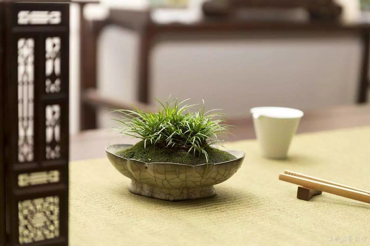 茶台上都摆些啥东西,茶桌上的基本物件