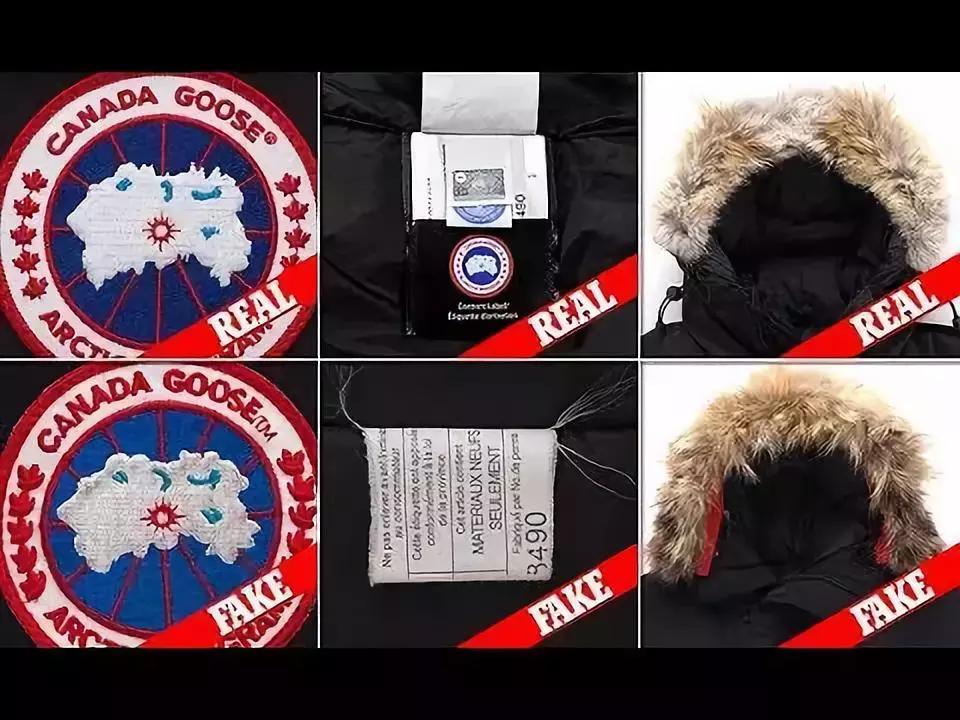 加拿大鹅假货买的多吗,加拿大鹅假货多么