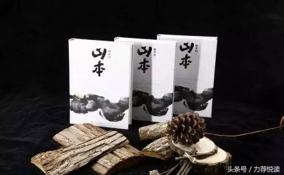 作家安黎贾平凹,贾平凹臊子面