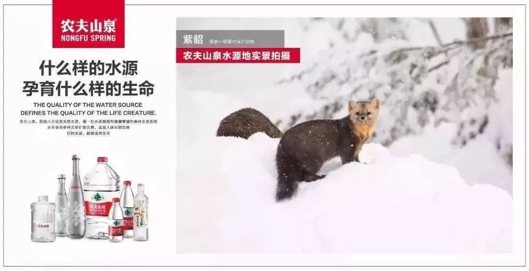 品牌管理到底是在管什么,品牌管理掌握的知识