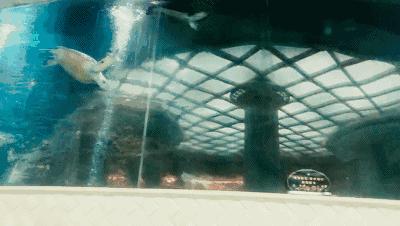 中国浴城,中国浴都石家庄