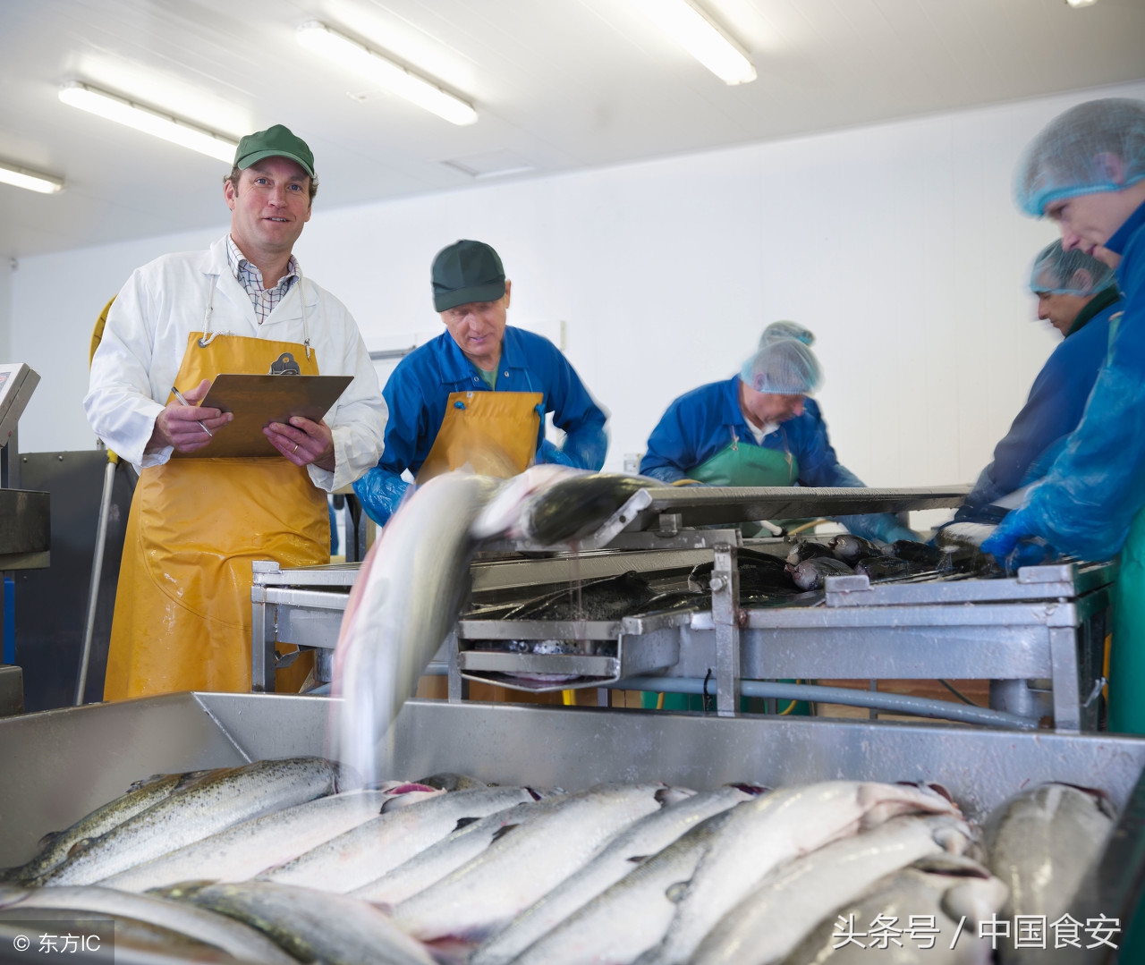 汉中汉台区违法违纪新闻,汉中系列违纪违法案件
