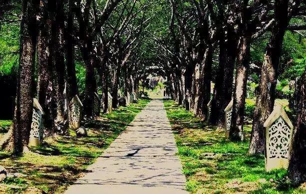 李茶的姑妈海景大别墅,李茶的姑妈在马来西亚