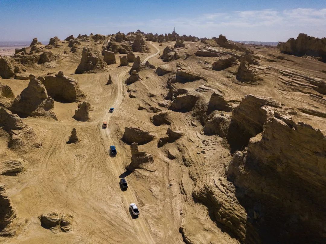 车叔的全部视频,车叔的最新视频