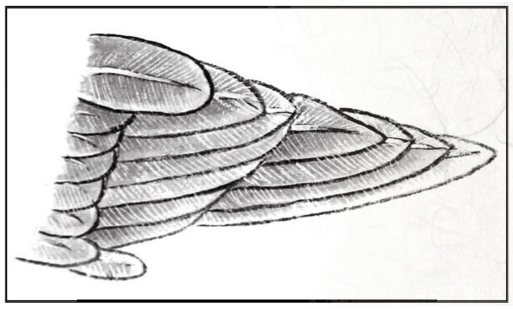 工笔禽鸟技法视频,工笔鸟翅膀画法