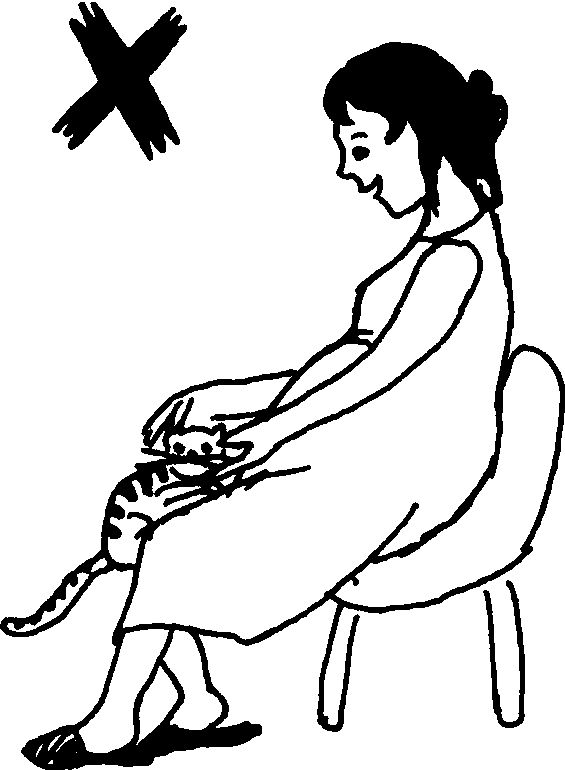 养着狗老婆怀孕了如何处理,怀孕了养宠物弓形虫怎么办