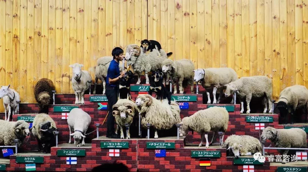 睿富文旅｜为纪念母亲和发展日本畜牧业而建的MotherFarm