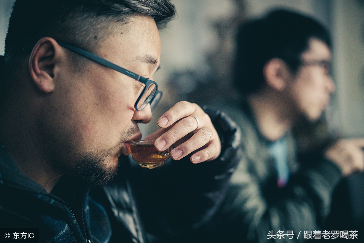 老罗白茶白牡丹,老罗茶叶白牡丹