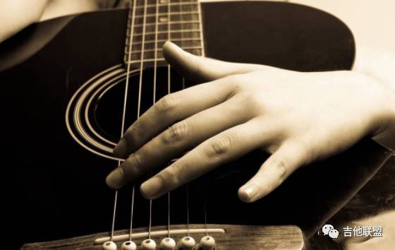 网上买琴行哪个品牌好价格合适,琴行选购的注意事项