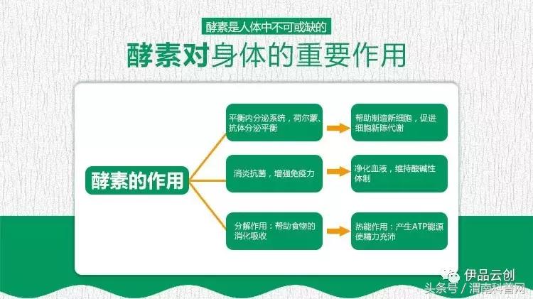 酵素科普,科普一分钟果胶酶