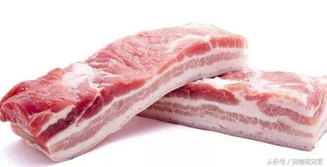 切记这几种食物不宜久放于冰箱,30种狗狗不能吃的食物喂狗误区