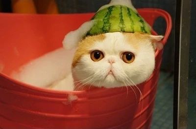 家里装修哪些东西不装会后悔,装修时有哪些东西没装会后悔